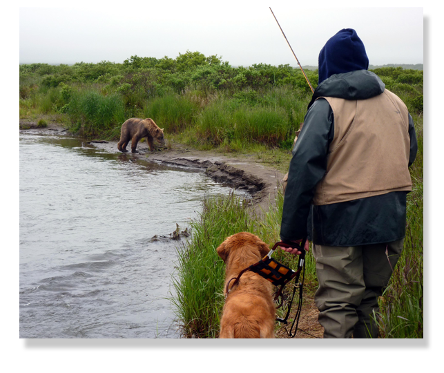 A man and his guide dog watch a grizzly bear from a safe distance
