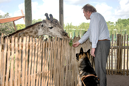 Sarge the guide dog meets Gyote the giraffe